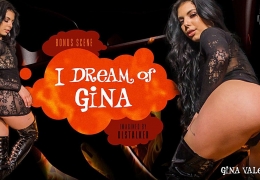 I Dream of Gina 我梦中的吉娜